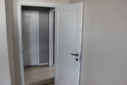 Profil Doors 1U аляска