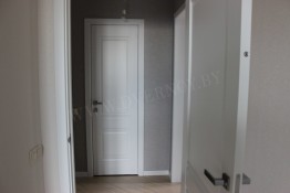 Profil Doors 1U аляска